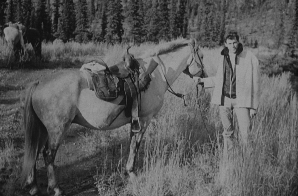 Horseback trek along the Outter Range of Denali Park